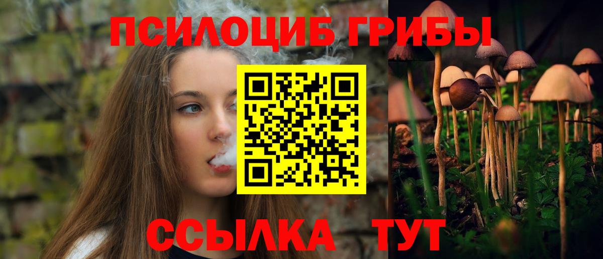 Псилоцибиновые грибы мицелий Ефремов
