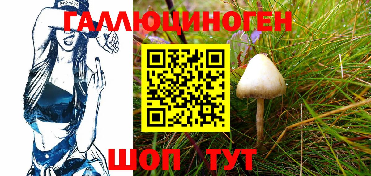 Галлюциногенные грибы Psilocybe  наркотики  Вход с VPN  Ефремов  Псилоцибиновые грибы Cubensis 